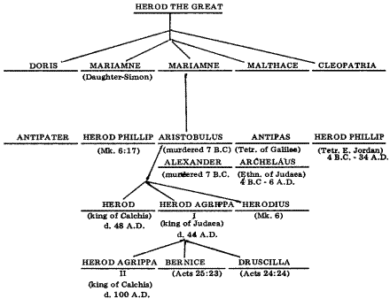 How Readest Thou, page 3, picture 1, Herodian Family Tree (440 x 338) (11K)